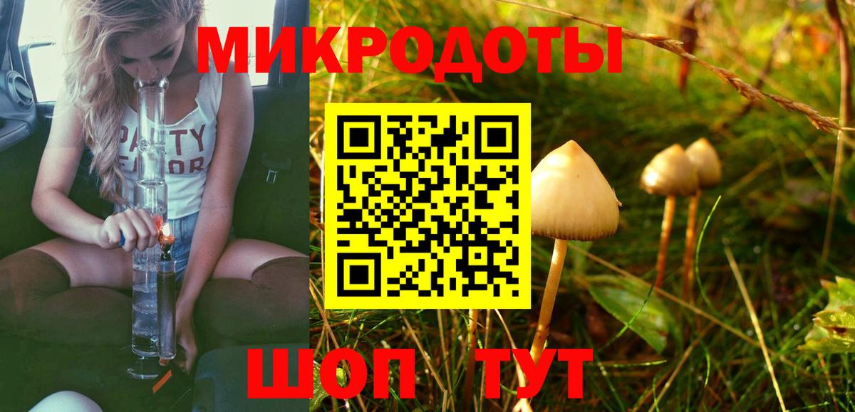 Псилоцибиновые грибы Psilocybe Нижневартовск