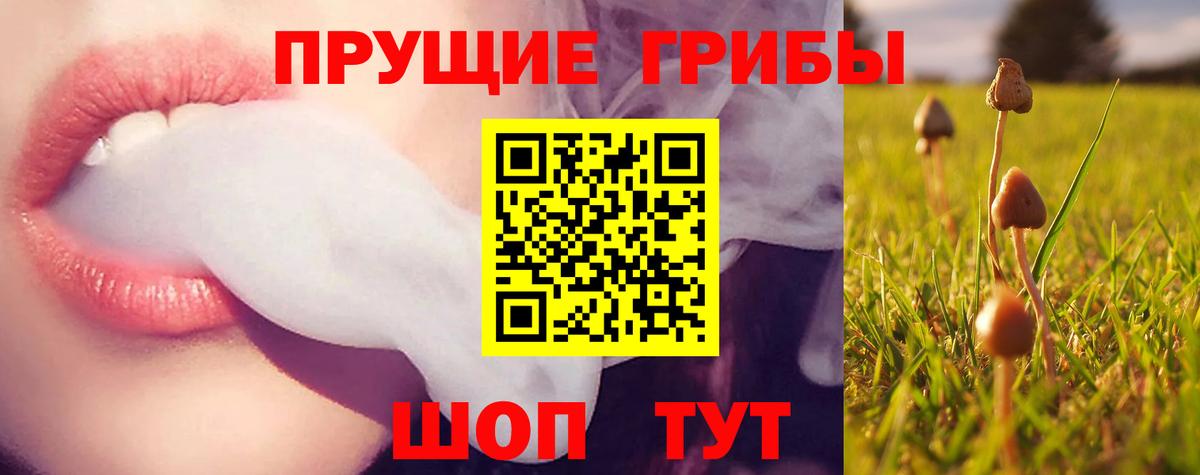 Нижневартовск  Галлюциногенные грибы GOLDEN TEACHER  Вход с VPN 